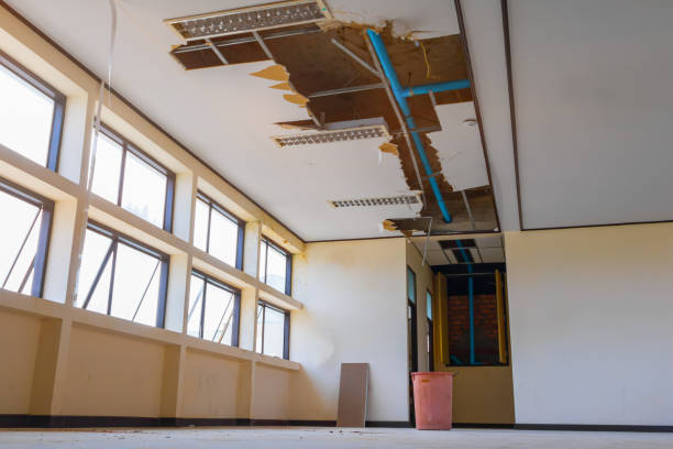 Best Local water damage restoration  in White Castle, LA