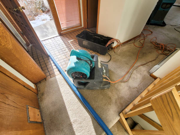 Best Water damage cleanup near me  in White Castle, LA