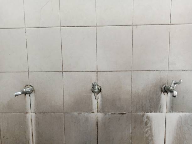 Best 24-hour water damage restoration  in White Castle, LA