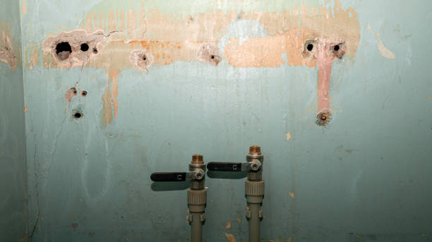 Best Water damage contractors near me  in White Castle, LA