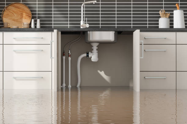 Best Water damage restoration process  in White Castle, LA