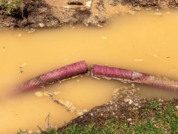 Best Flood restoration services  in White Castle, LA