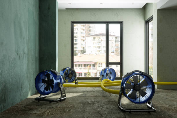 Best Sewage cleanup and water damage restoration  in White Castle, LA